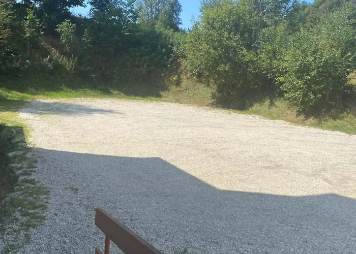 Goldener Drache * Adorf